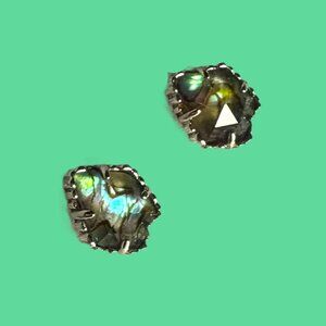 Kendra Scott Silver Iridescent Abalone Faceted Stud Earrings